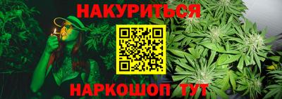 дживик Кимры