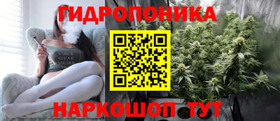 дживик Кимры