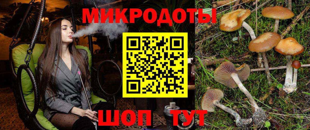 Галлюциногенные грибы прущие грибы Котельники